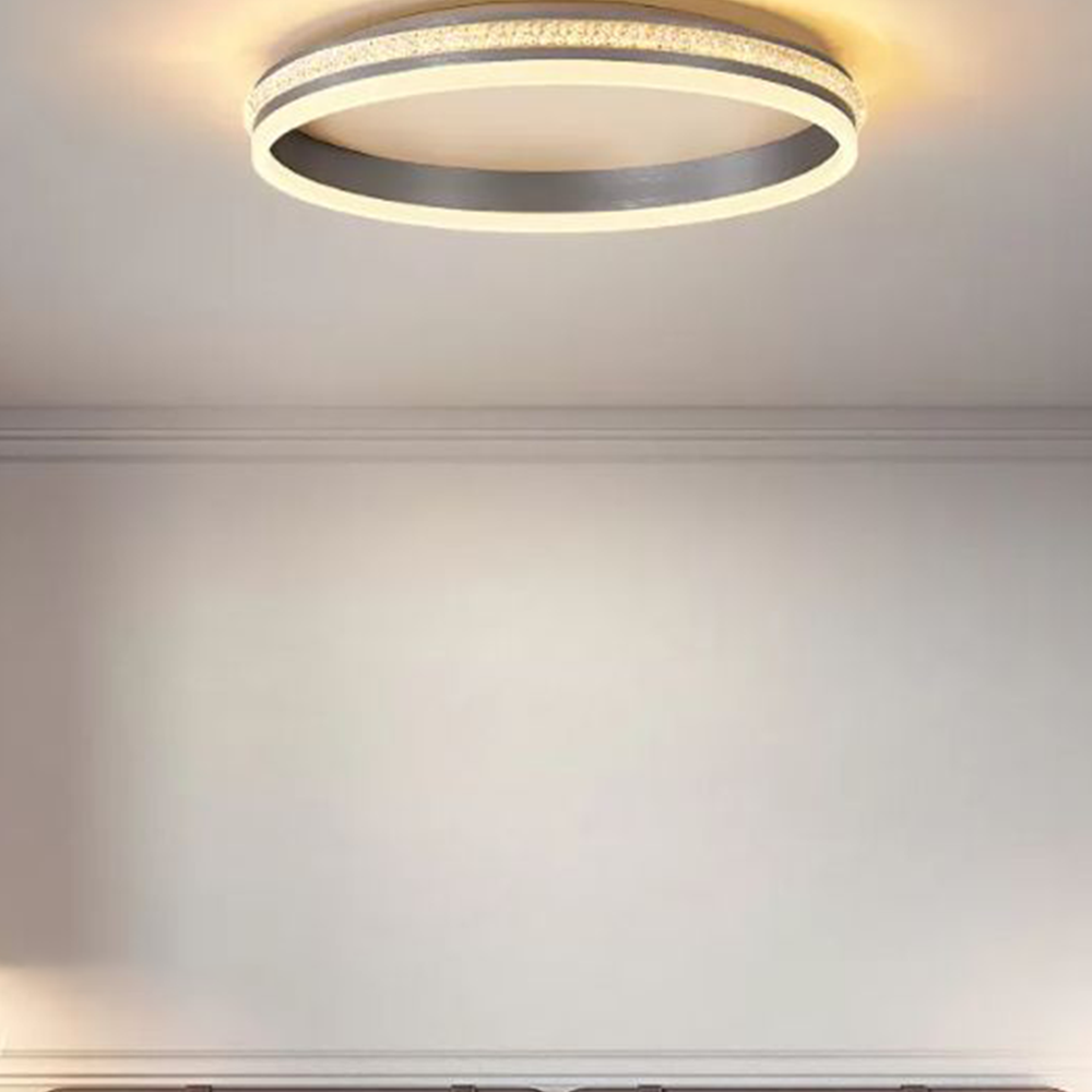 Arisha nowoczesna lampa sufitowa montowana bezpośrednio pierścień metal/srebrna