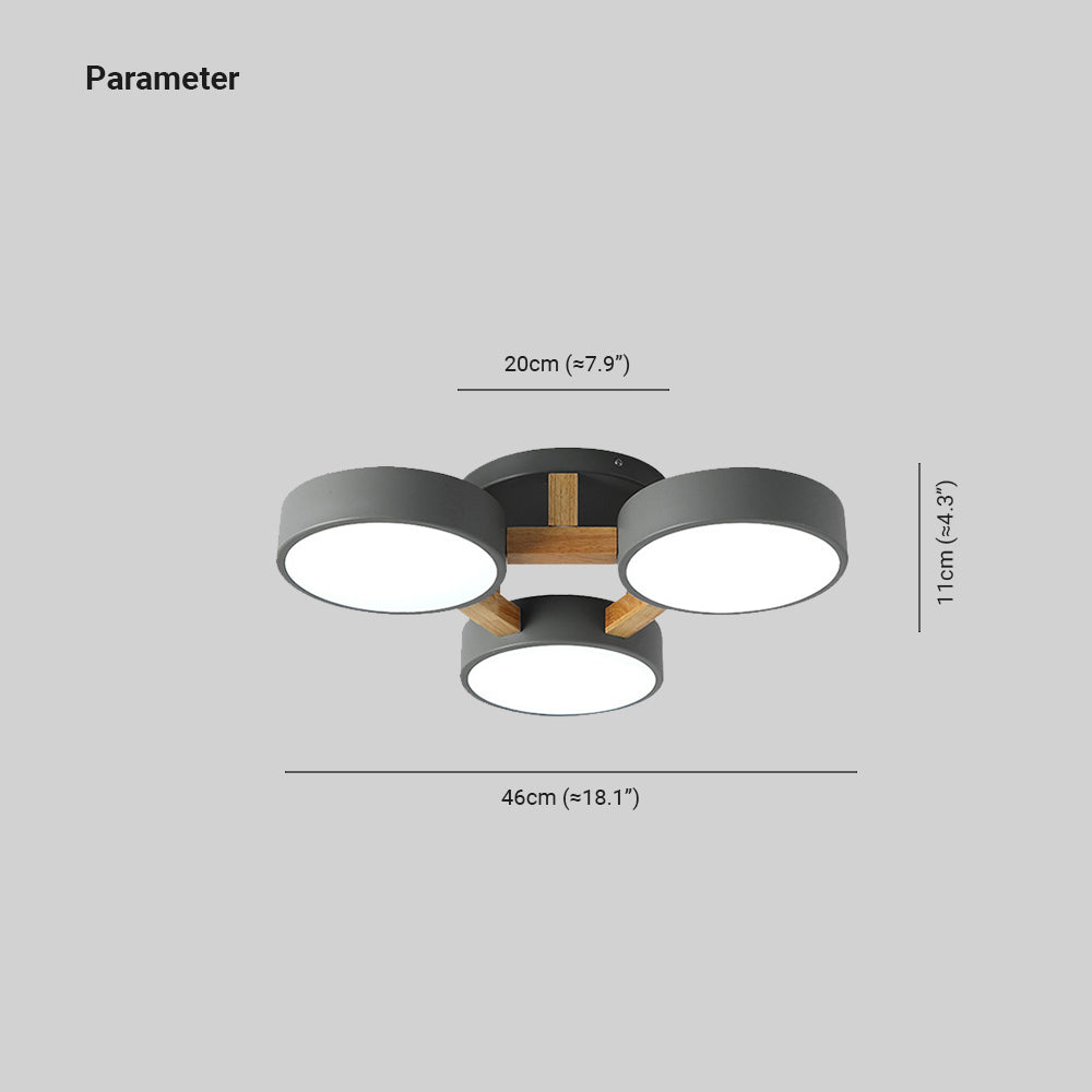 Arisha minimalistyczna lampa sufitowa montowana bezpośrednio