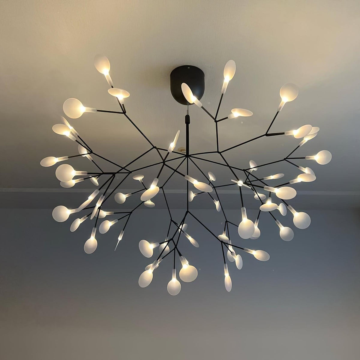 Czarny żyrandol Firefly LED