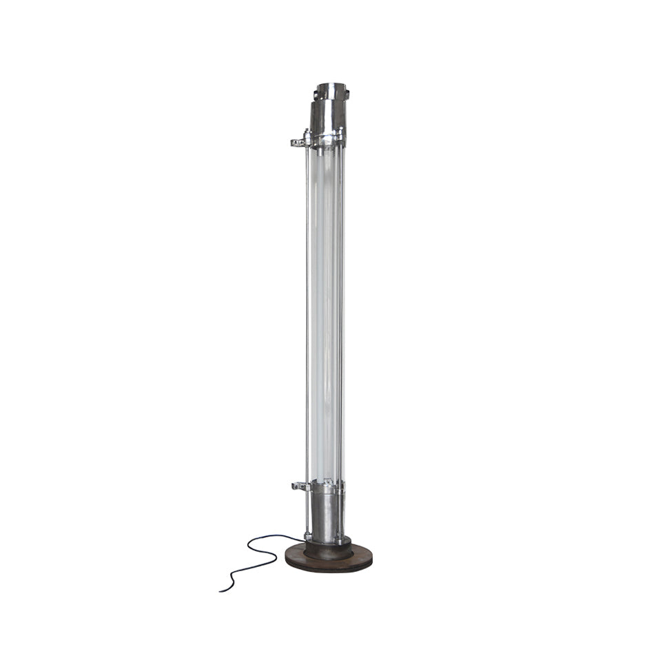 Cylus lampa stojąca
