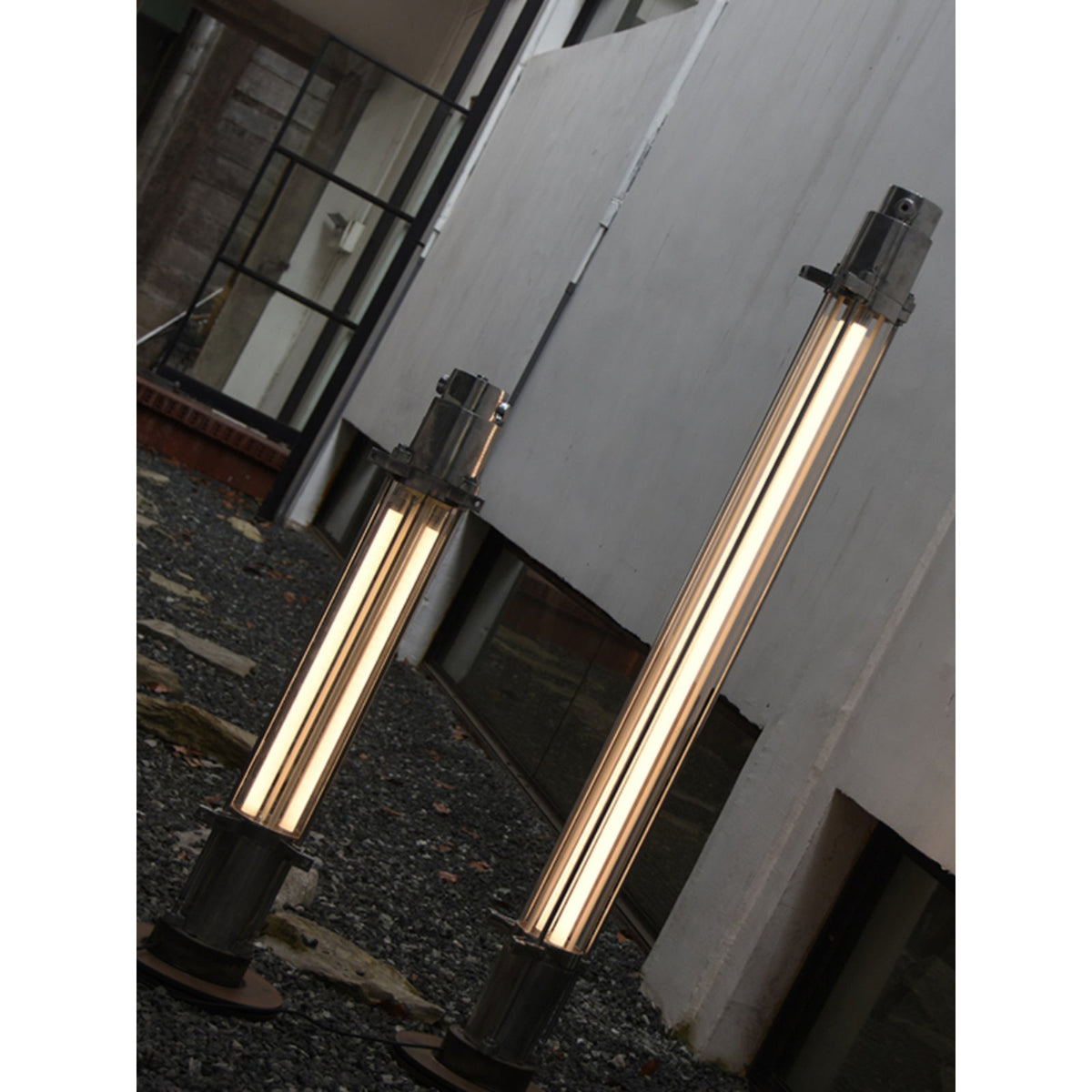Cylus lampa stojąca