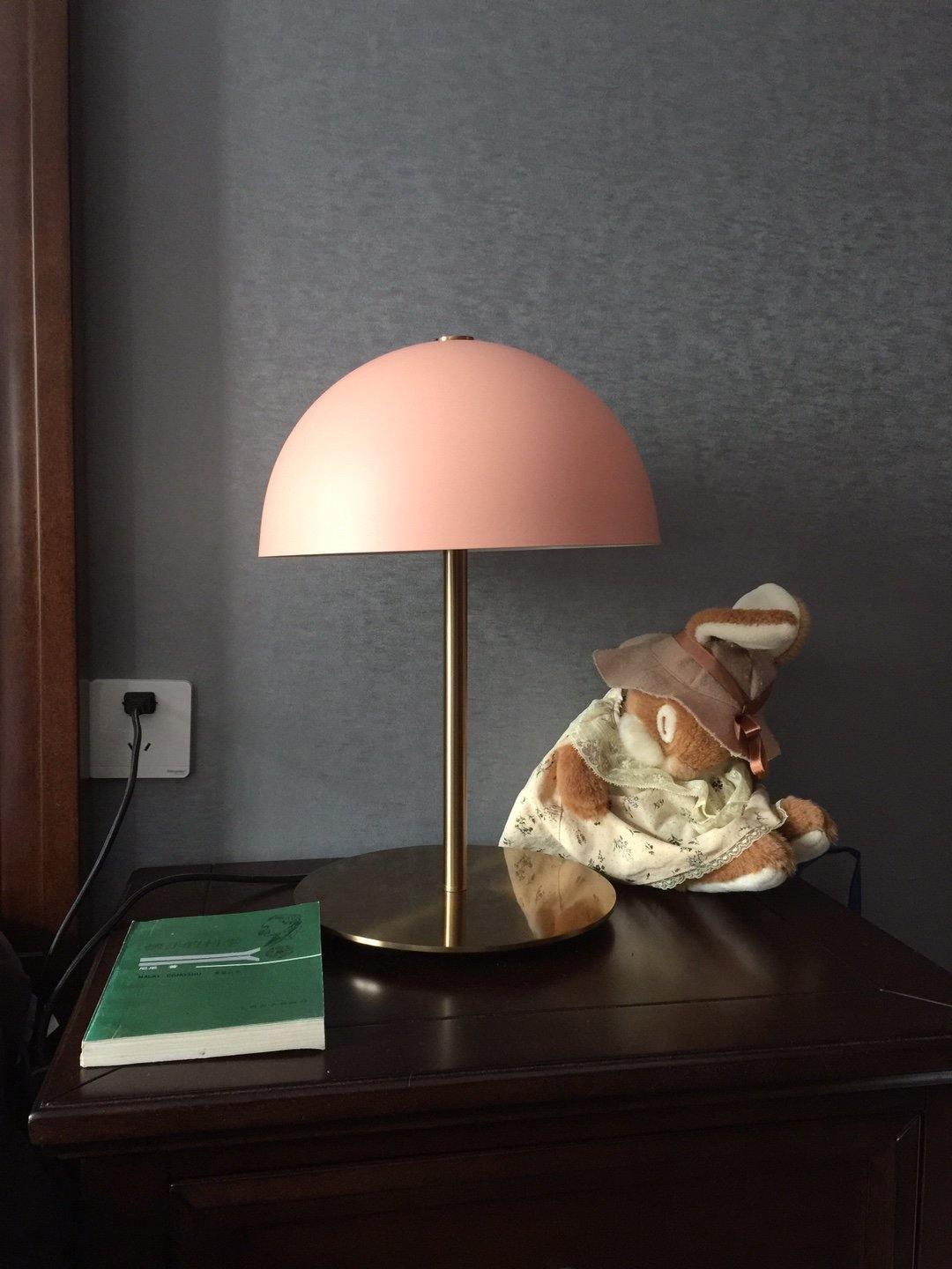 Brioth lampa stołowa ze szkła akrylowego w stylu skandynawskim