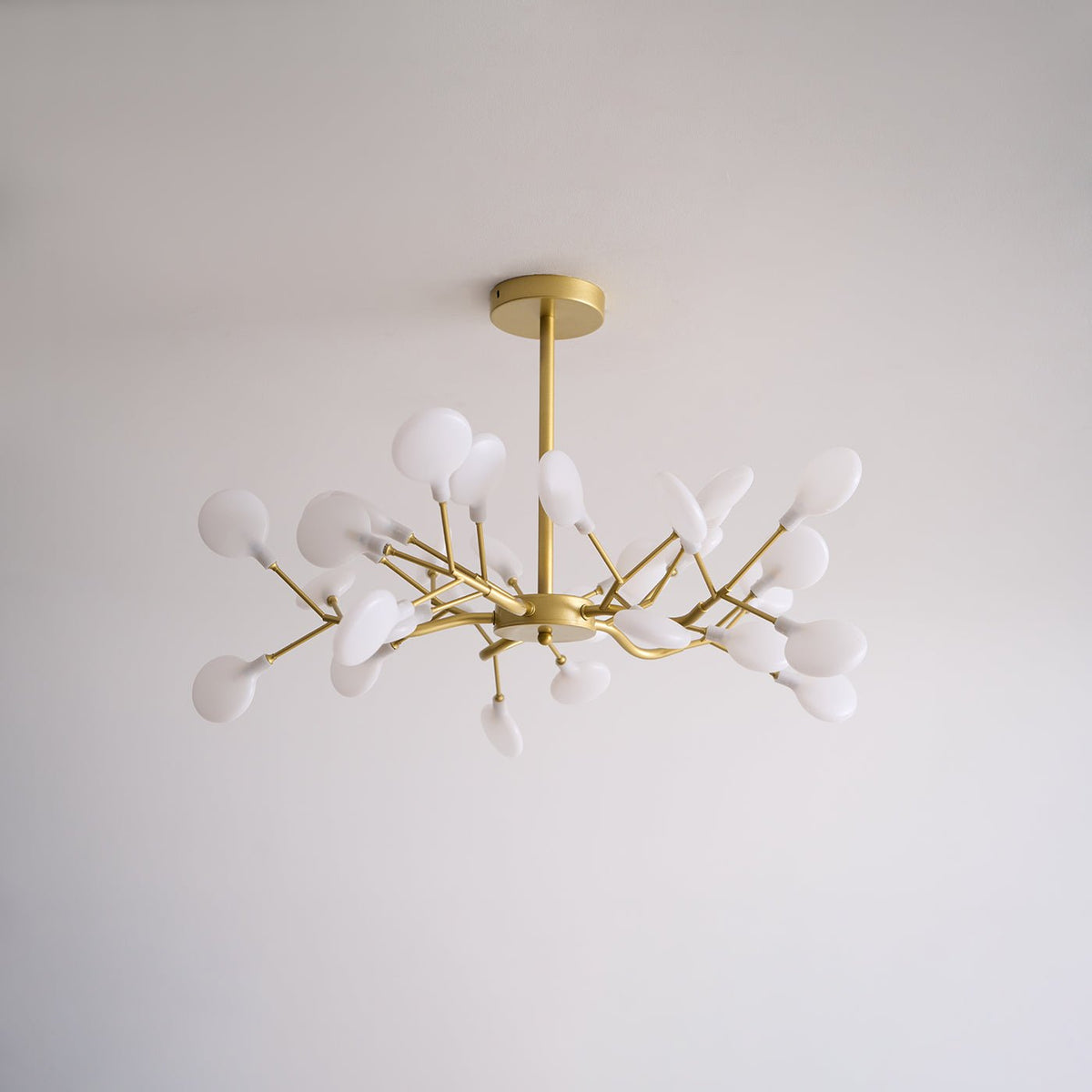 Riviselle żyrandol LED Firefly