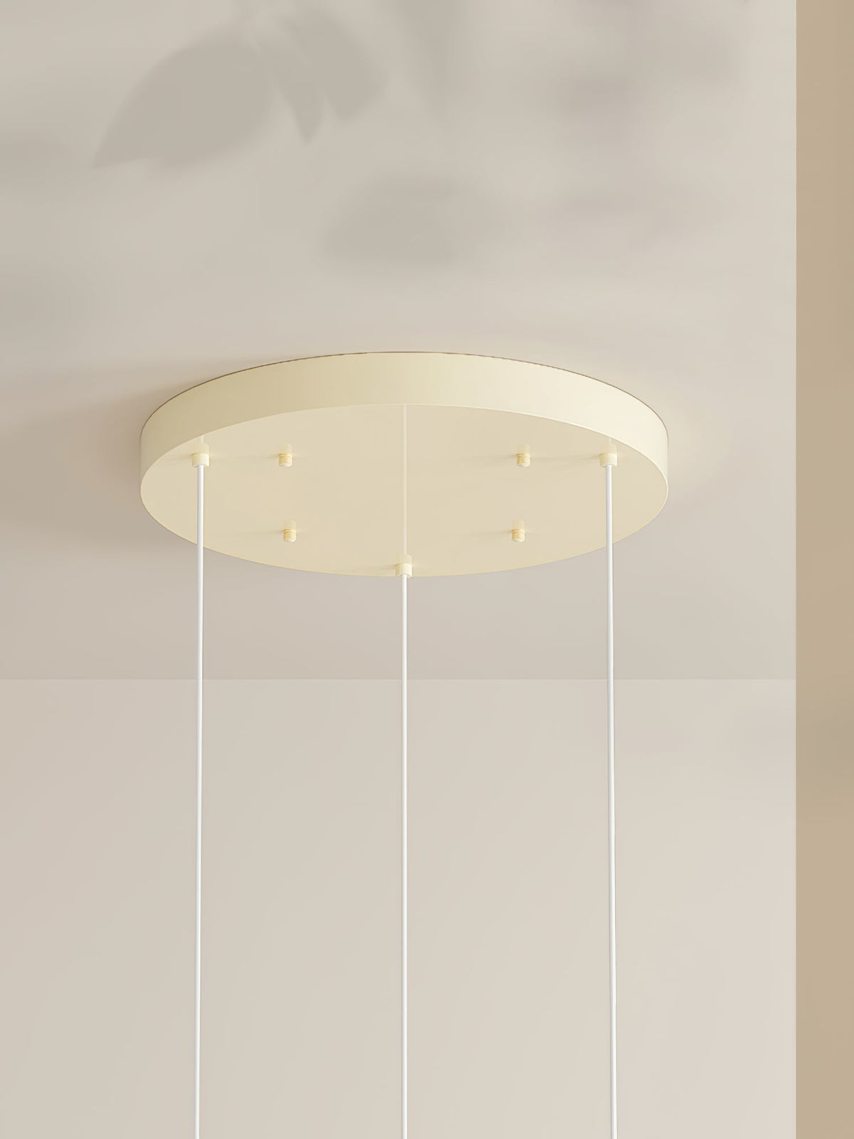 Sororiella lampa wisząca