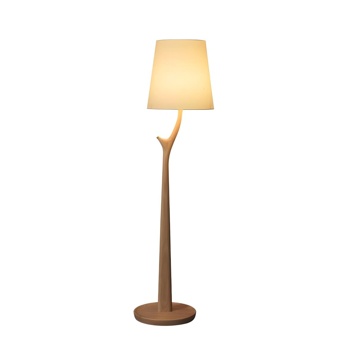 Norinia lampa stojąca