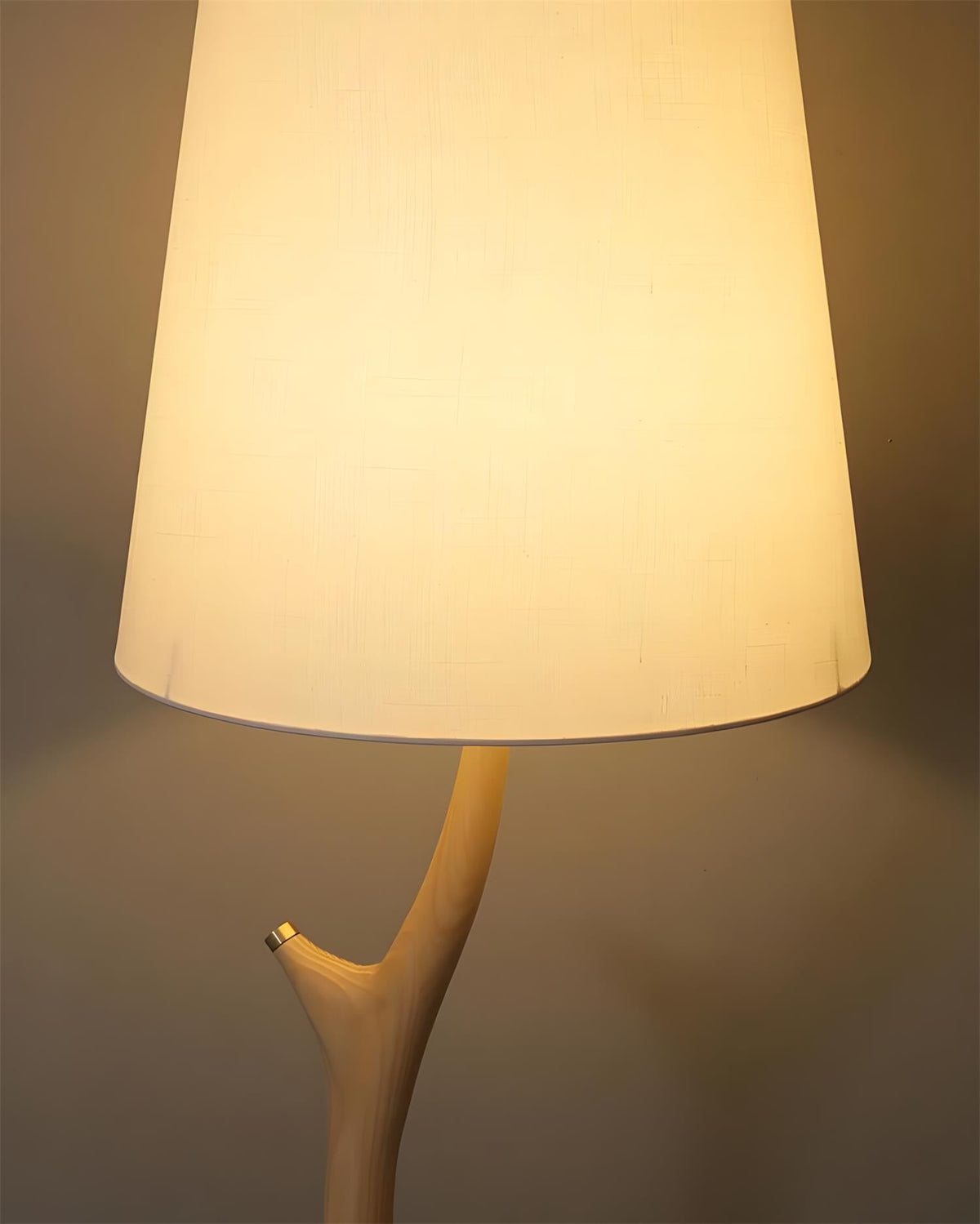 Norinia lampa stojąca
