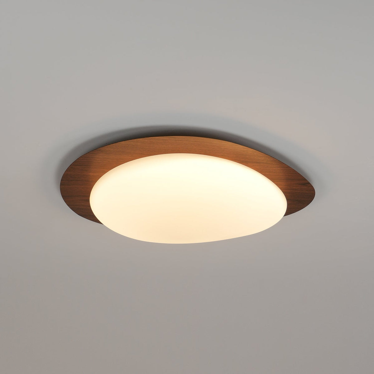 Sylenia lampa sufitowa Pebble orzechowe drewno akryl LED