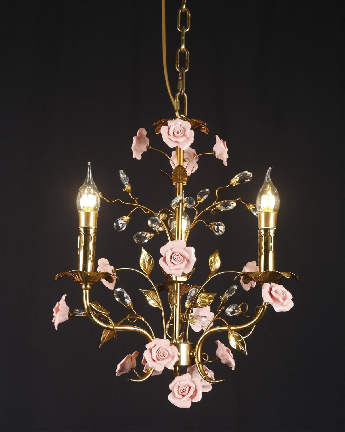Liororiella lampa wisząca
