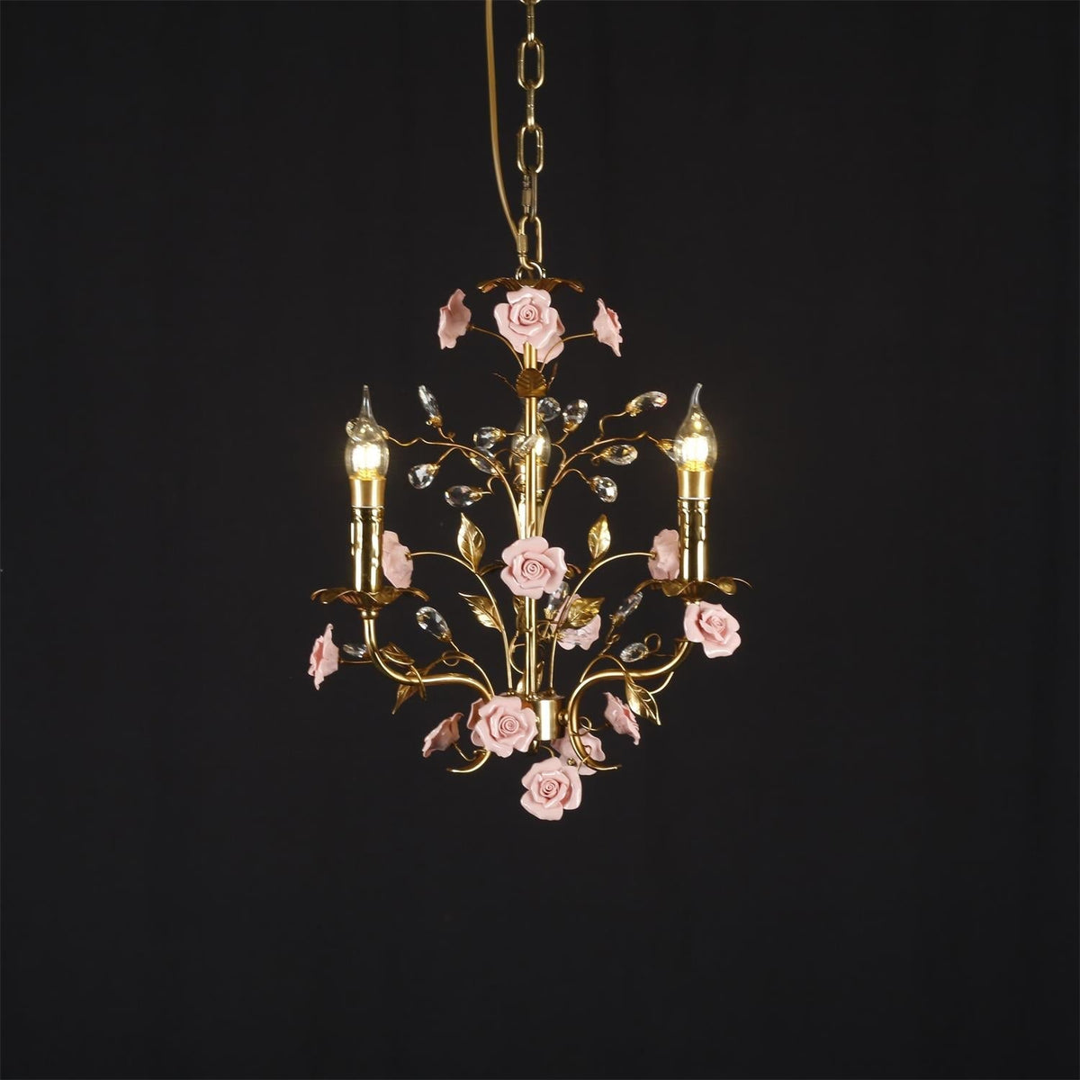 Liororiella lampa wisząca