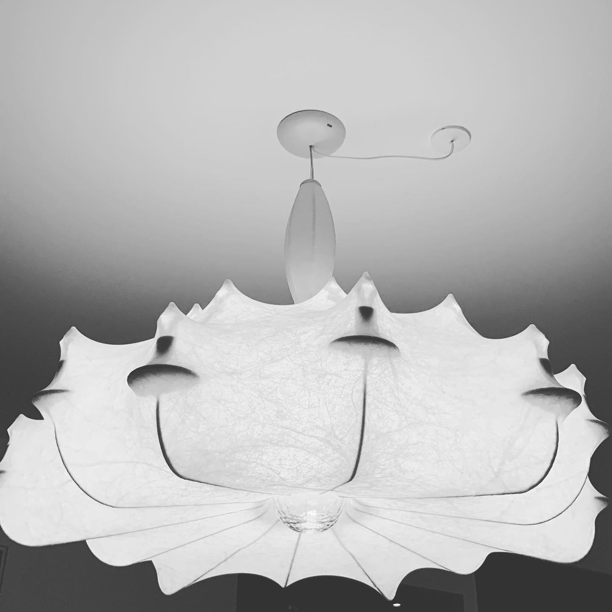Noralette lampa wisząca