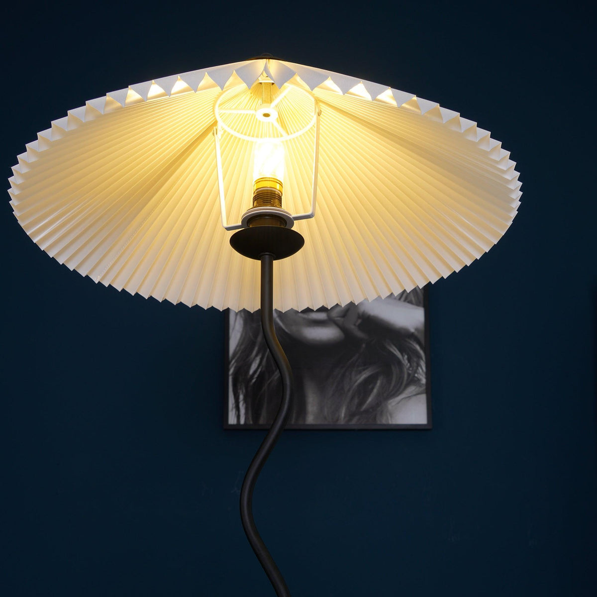 Avenaelia lampa stojąca