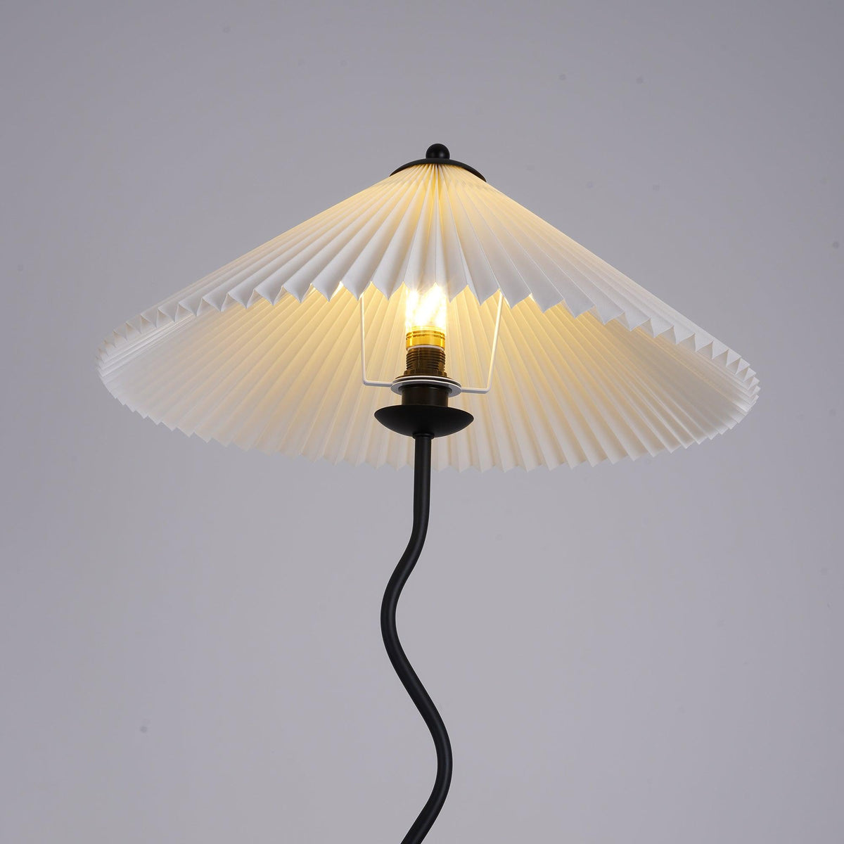Avenaelia lampa stojąca