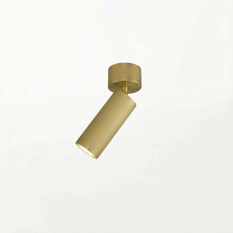 Riveia lampa sufitowa COB