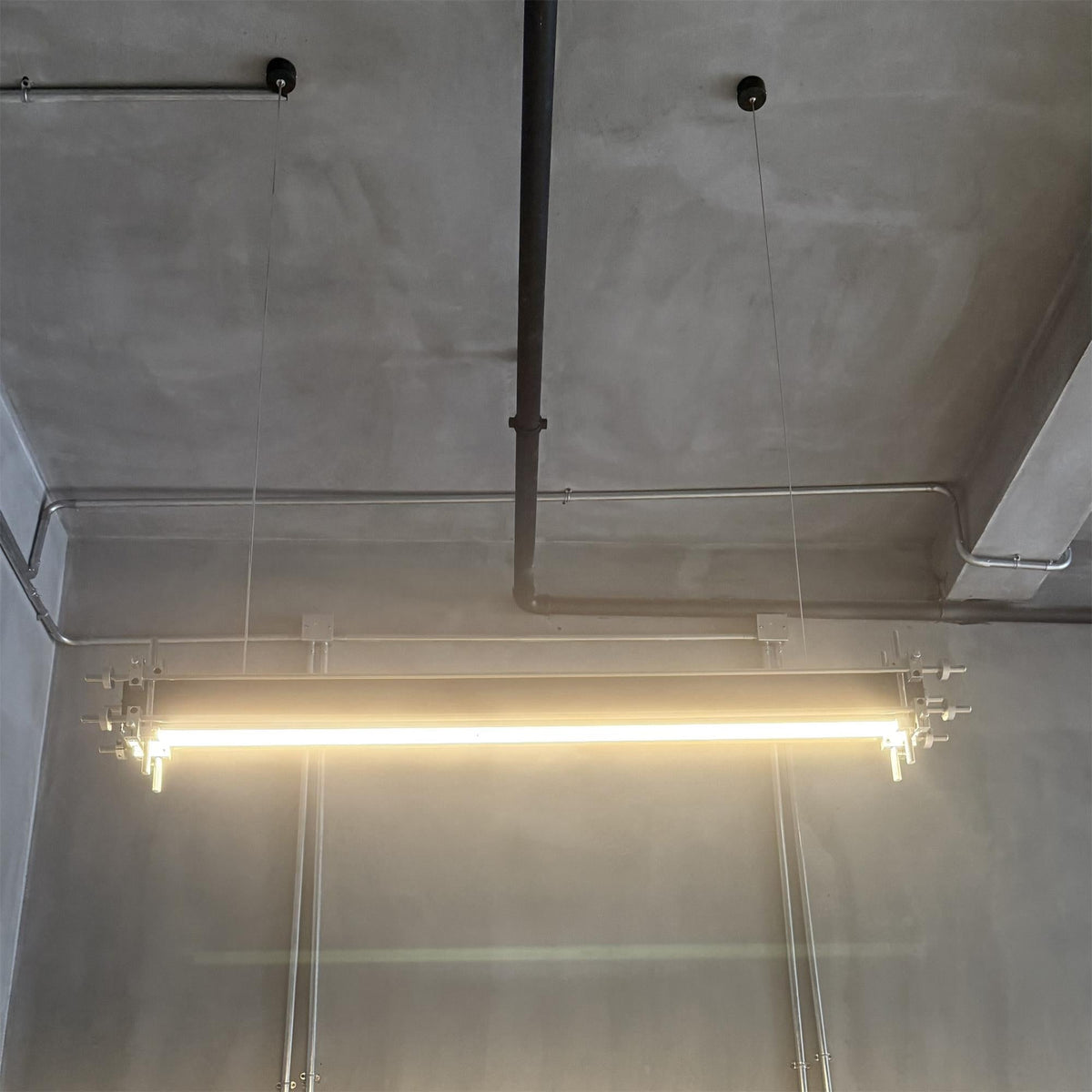 Viraeelia lampa wisząca