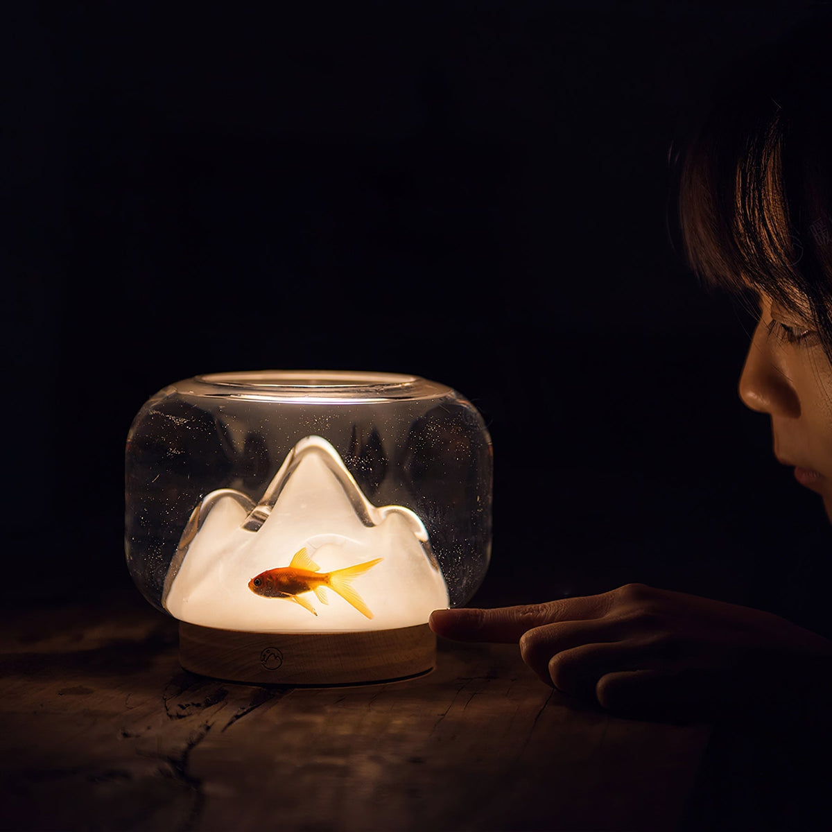Alpine lampa stołowa