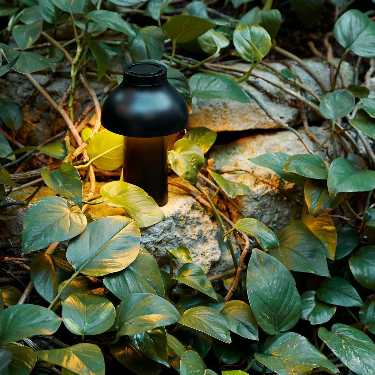 Lampa stołowa Tierop