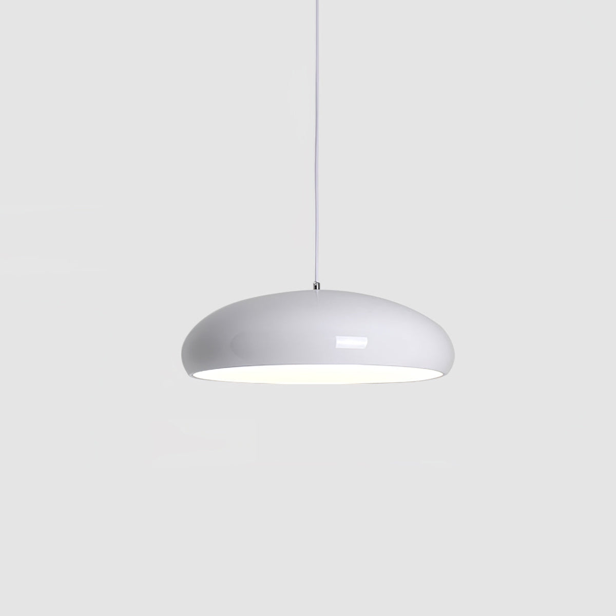 Renaraine minimalistyczna lampa wisząca