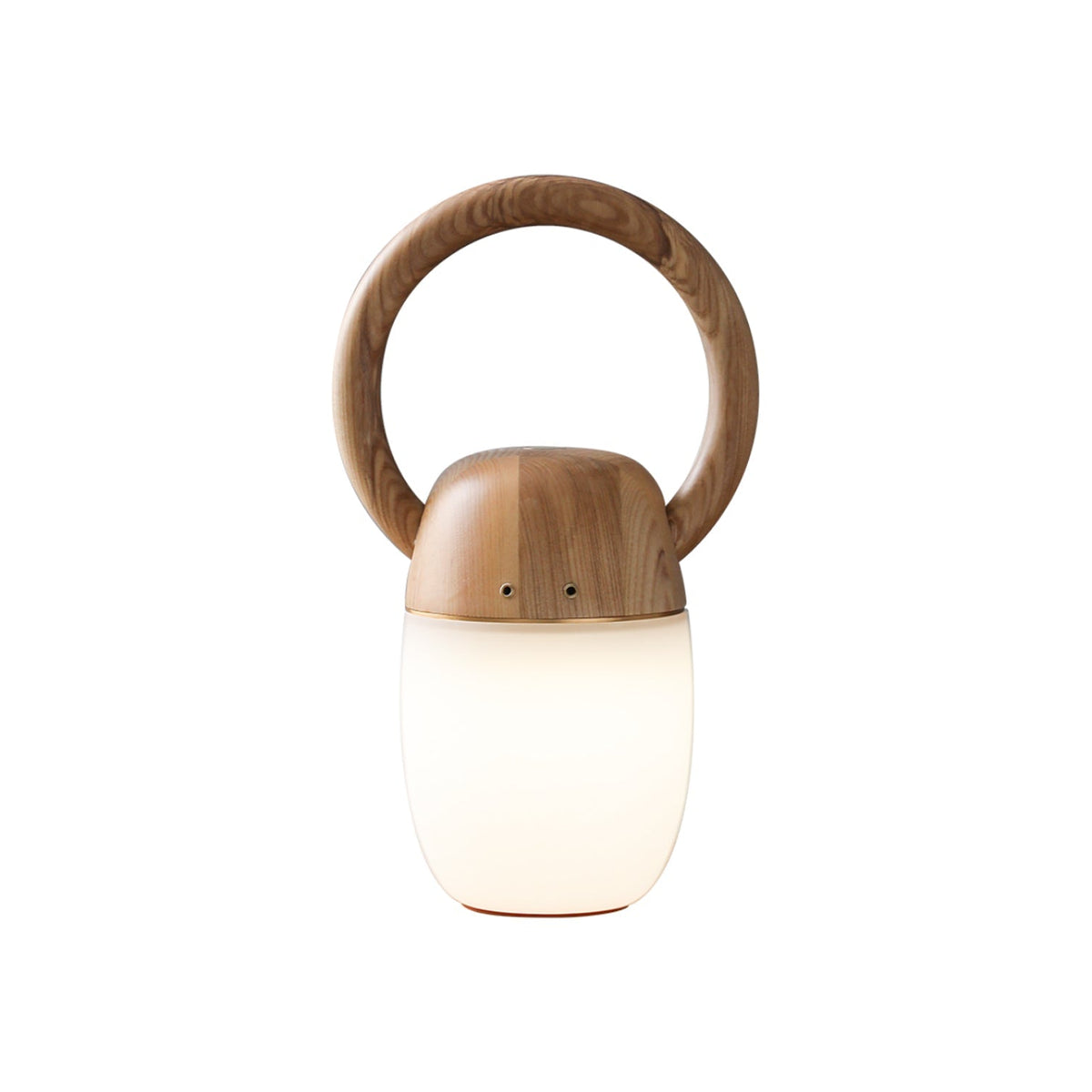 Sylelina minimalistyczna lampa stołowa z drewna