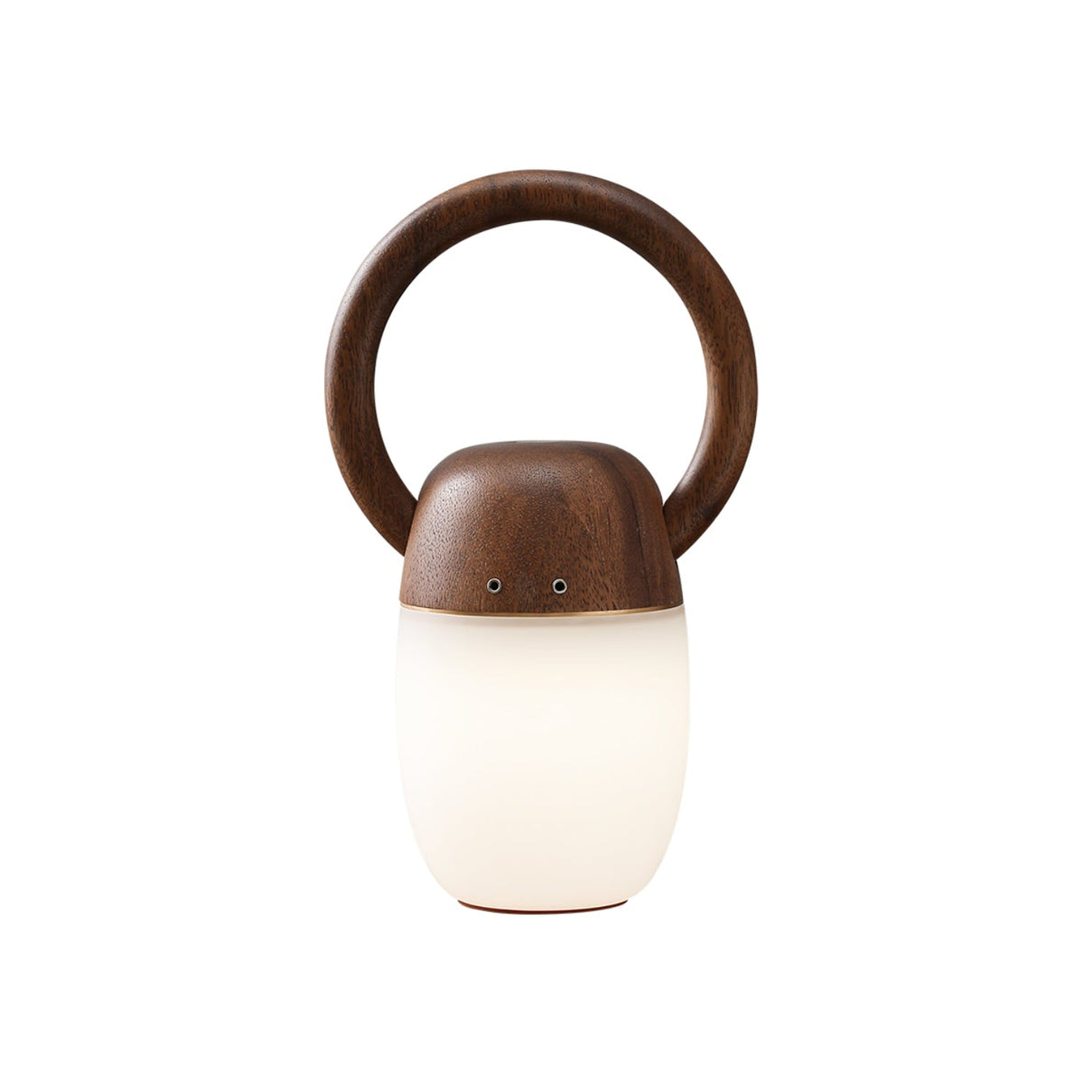 Sylelina minimalistyczna lampa stołowa z drewna